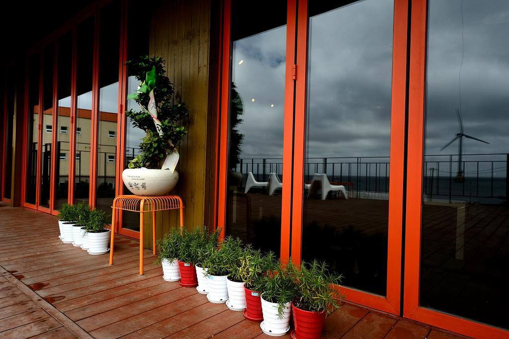 Maison Sondemul Guesthouse Чеджу Екстериор снимка